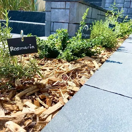 Oh My Deer Nagelneues Fuer Zwei 公寓 陶博比斯霍夫斯海姆